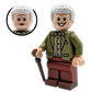 Doctor How? - The Great Curator Custom Minifigure